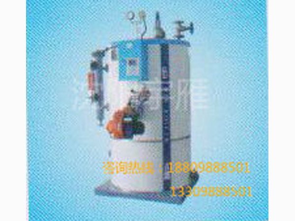 立式烟管蒸汽锅炉